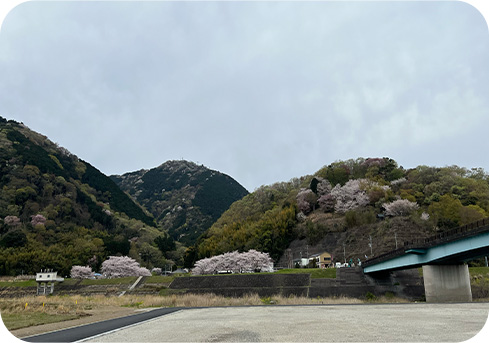 静岡県 伊豆の国市